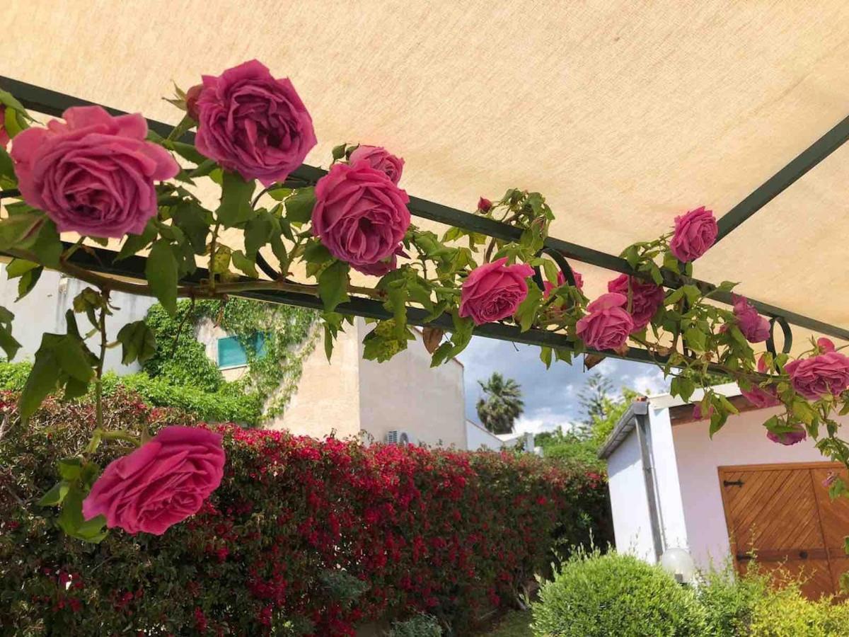 Le Tre Palme Villa Fontane Bianche Exterior photo
