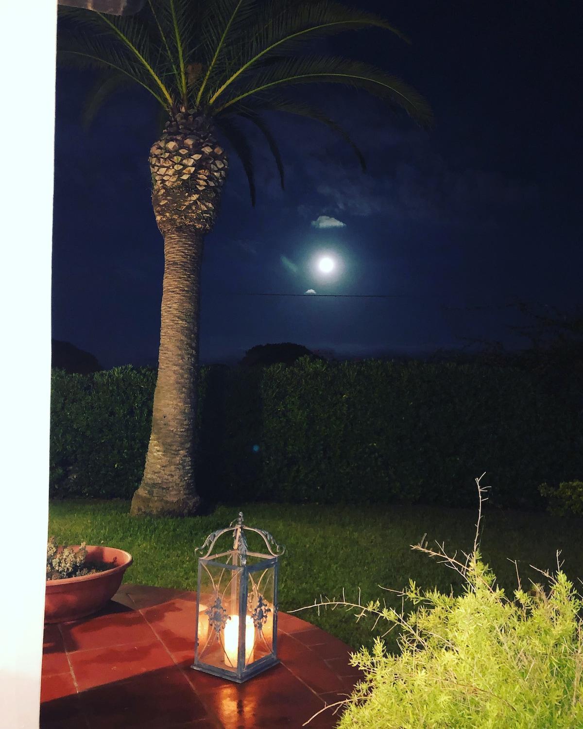 Le Tre Palme Villa Fontane Bianche Exterior photo